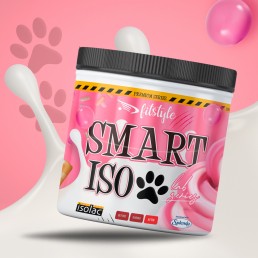 SMART ISO 500g Pink Cake FITSTYLE