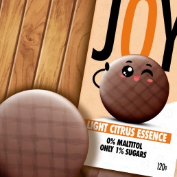 JOY Galletas Choco Citrus 0% maltitol 120g FITSTYLE