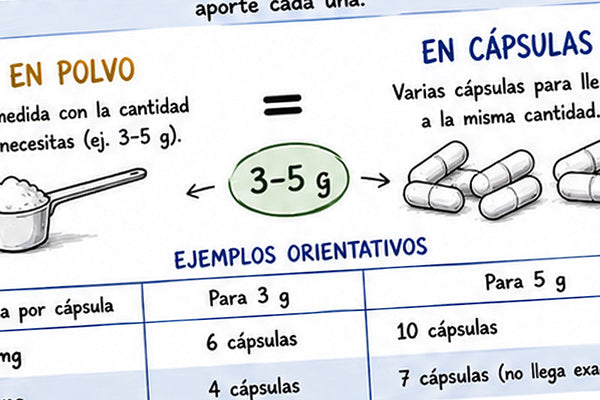 Creatina en polvo o cápsulas: ¿cuál elegir?