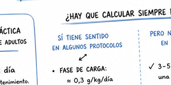 Cómo tomar creatina correctamente: dosis, cantidad y forma de uso