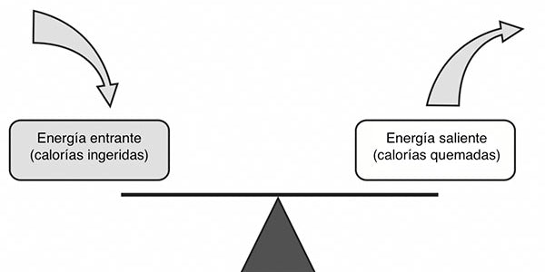 G-Flux: Composición corporal y gasto calórico