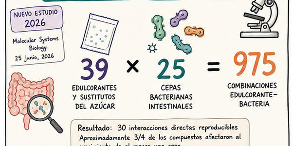 Edulcorantes y microbiota intestinal: qué dice realmente la ciencia en 2026