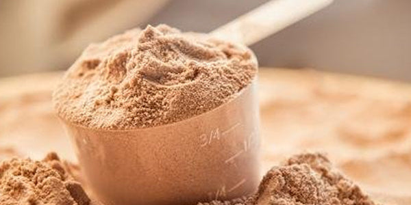 Qué son los Protein Bites