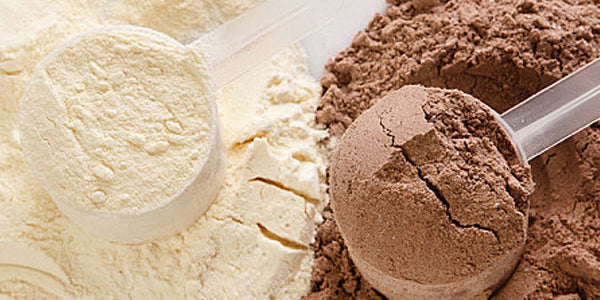 Tipos de proteína, conceptos básicos