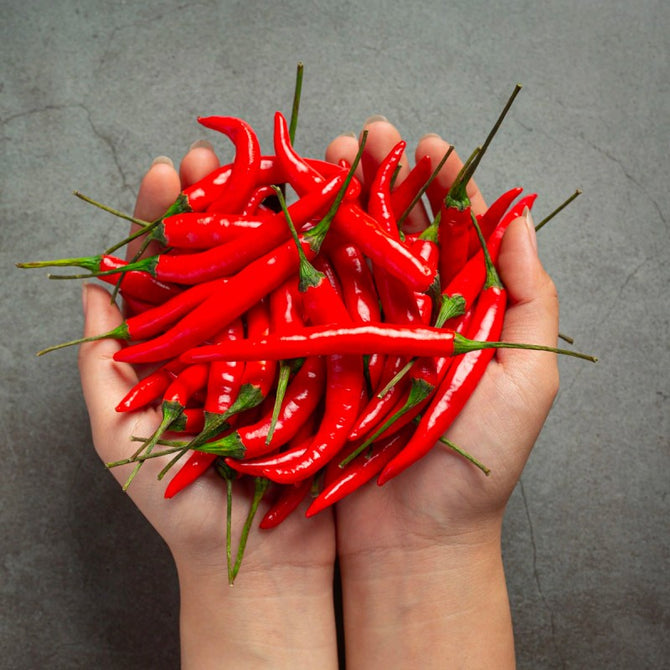 CooKing Spicy 250ml (Aceite en spray) - Imagen 2