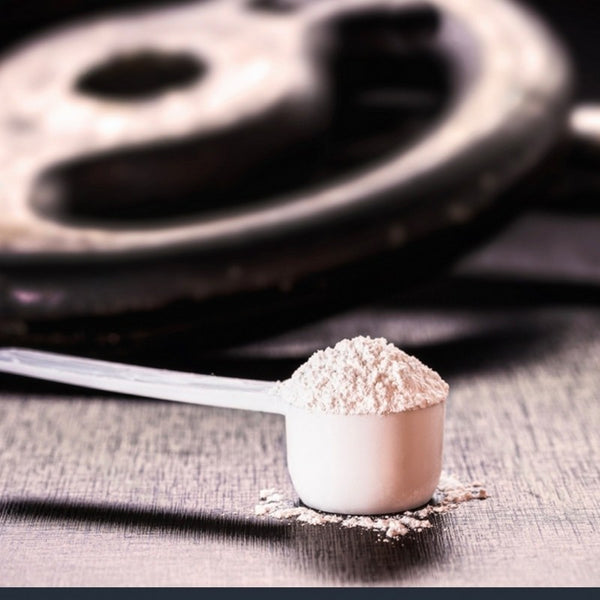 Creatina (Creapure®) 400g - Imagen 3