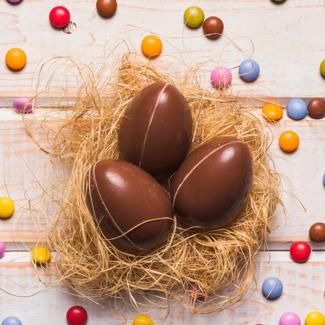 Ideal Whey ChocoEgg 500g - Imagen 2