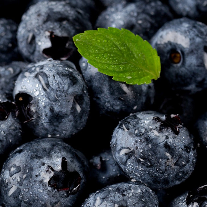 Mermelada Light de Arándanos 260g - Imagen 2