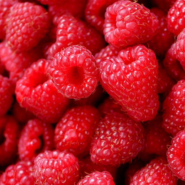 Mermelada Light de Frambuesas 260g - Imagen 2