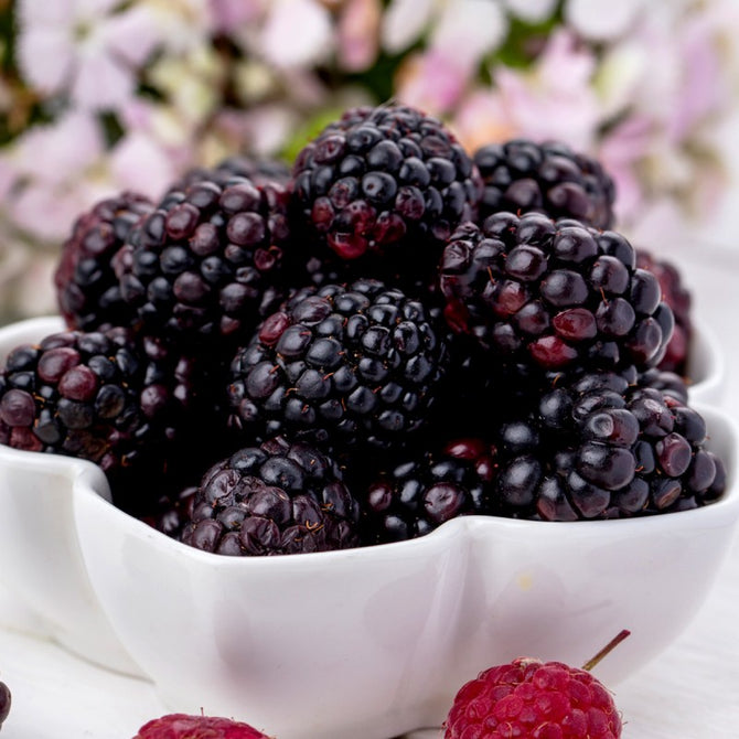 Mermelada Light de Moras 260g - Imagen 2