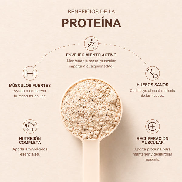 Beneficios de la proteína